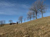 16 Dal bosco usciamo sui prati